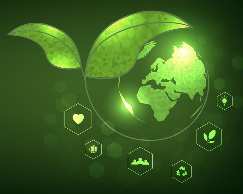 Corporate Social Responsibility Services